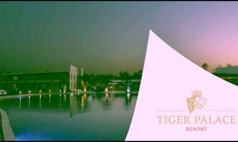 tiger-casino-nepal_f2c7482a7.jpg